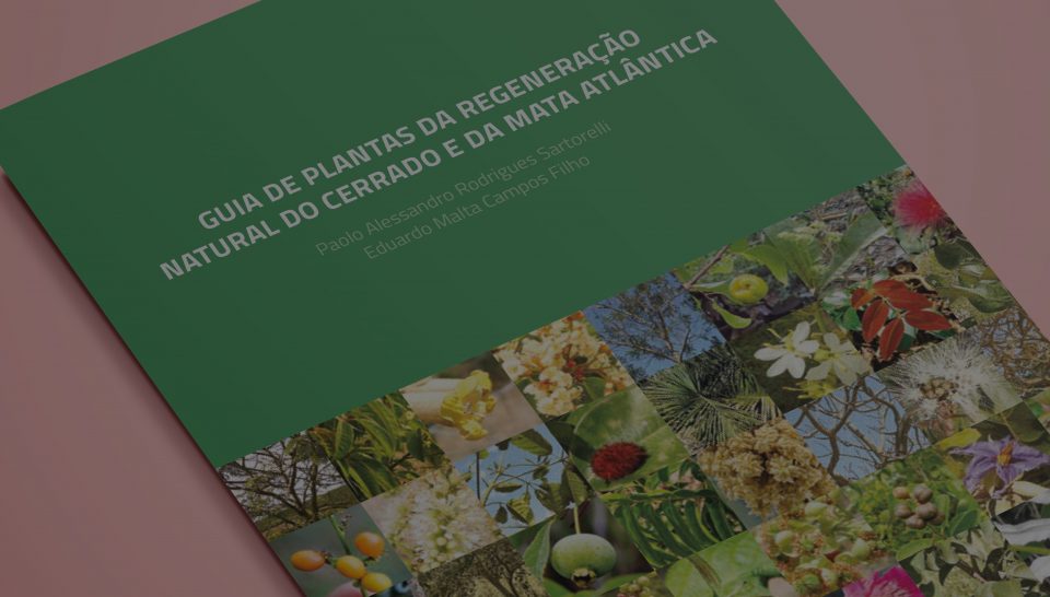 Guia de plantas da regeneração natural do Cerrado e da Mata Atlântica