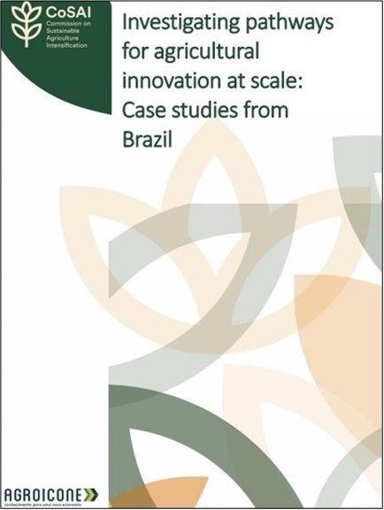 Estudo analisou as principais oportunidades e desafios para a inovação agrícola sustentável em experiências brasileiras